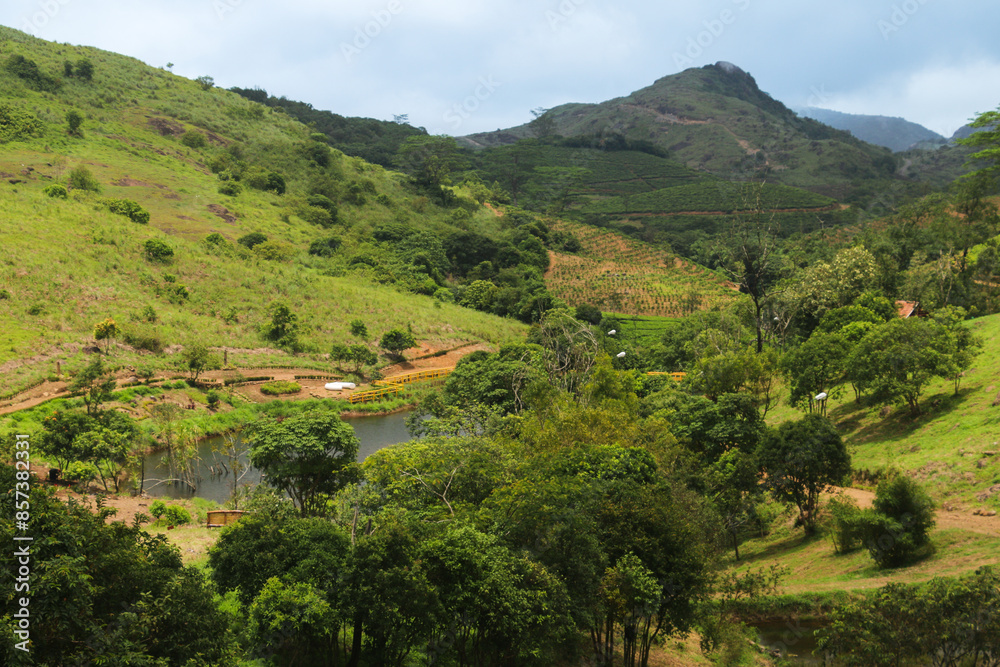 Magnificent green landscape of the nature  with beautiful sky in the background  