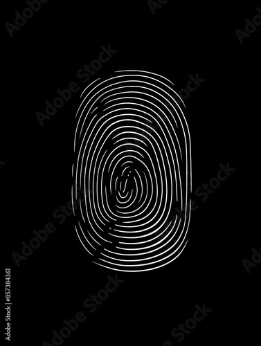 human fingerprint, unique papillary pattern close-up isolated photo