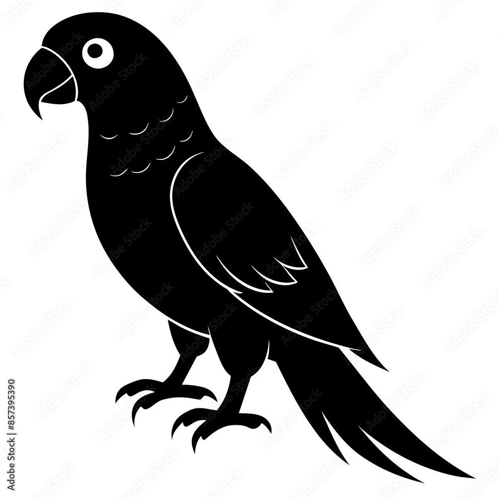 Simple black Parrot Silhouette vector illustration Simple black Parrot Silhouette vector illustration