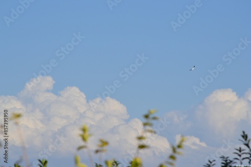 Landscape with clouds