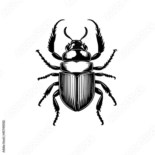 Monochrome Beetle Design