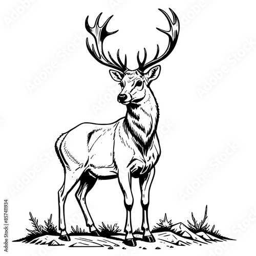 Wildlife Collection: Caribou Silhouette Vintage Print