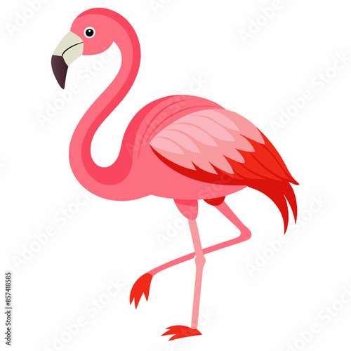 A pink flamingo is gracefully balanced on one leg against a white backdrop