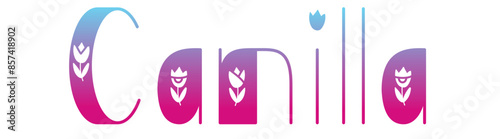 Camila - colore sfumat rosa - azzurro - parola nome scritta con tulipani - ideale per websites, presentazioni, biglietti, banners, sweatshirt, stampe, cricut, sublimazioni, etichette, adesivi