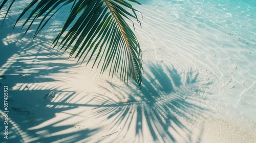 A palm leaf casts a shadow on the white sand of a beach. The water is clear and shallow. © AriyaniAI
