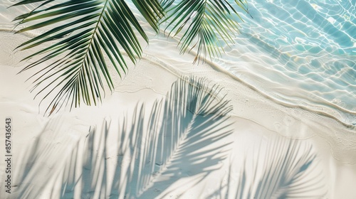 A serene beach scene with a palm frond casting a shadow on white sand and sparkling turquoise water.