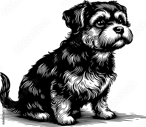 black and white engrave isolated dog, vector illustration on the white background