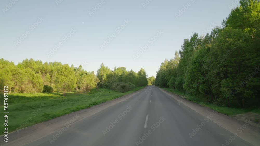 Along a forest road at sunset, POV Along a forest road at sunset, POV