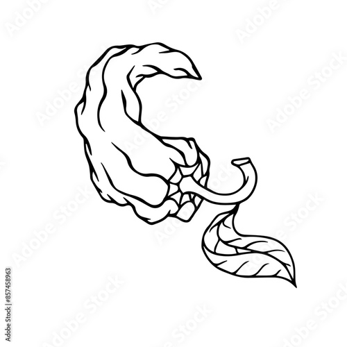 Sketch, doodle of a hot chili pepper. Vector graphics.