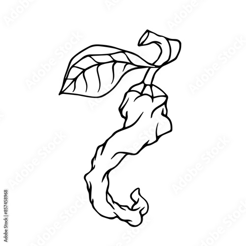 Sketch, doodle of a hot chili pepper. Vector graphics.