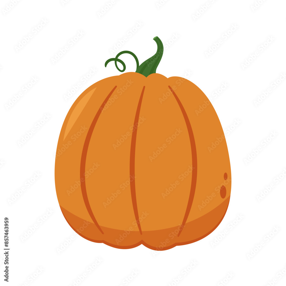 Pumpkin vector. Pumpkin on white background. Pumpkin vector. Pumpkin on white background.