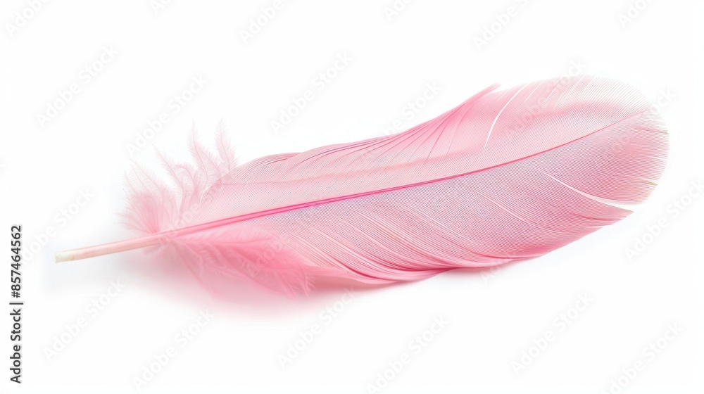 Pink Feather Isolated on White Background, Generative AI Pink Feather Isolated on White Background, Generative AI