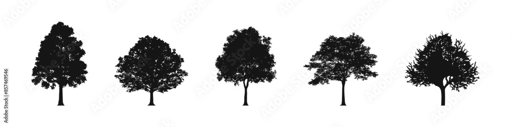Fototapeta premium Tree collection. Tree vectors. Tree silhouettes