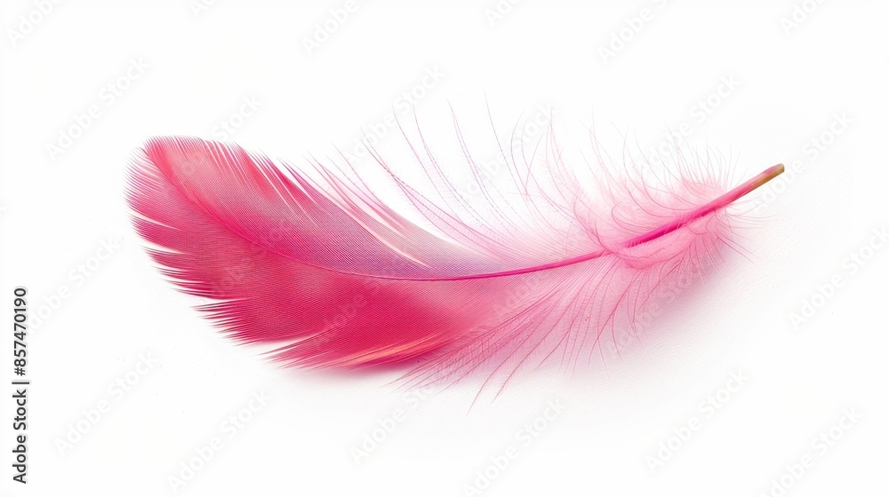 Vibrant Pink Feather, Generative AI Vibrant Pink Feather, Generative AI