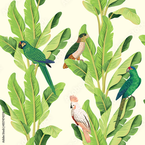 Tropical vintage banana tree, pink cockatoo, green parrot floral seamless pattern ivory background. Exotic jungle wallpaper.