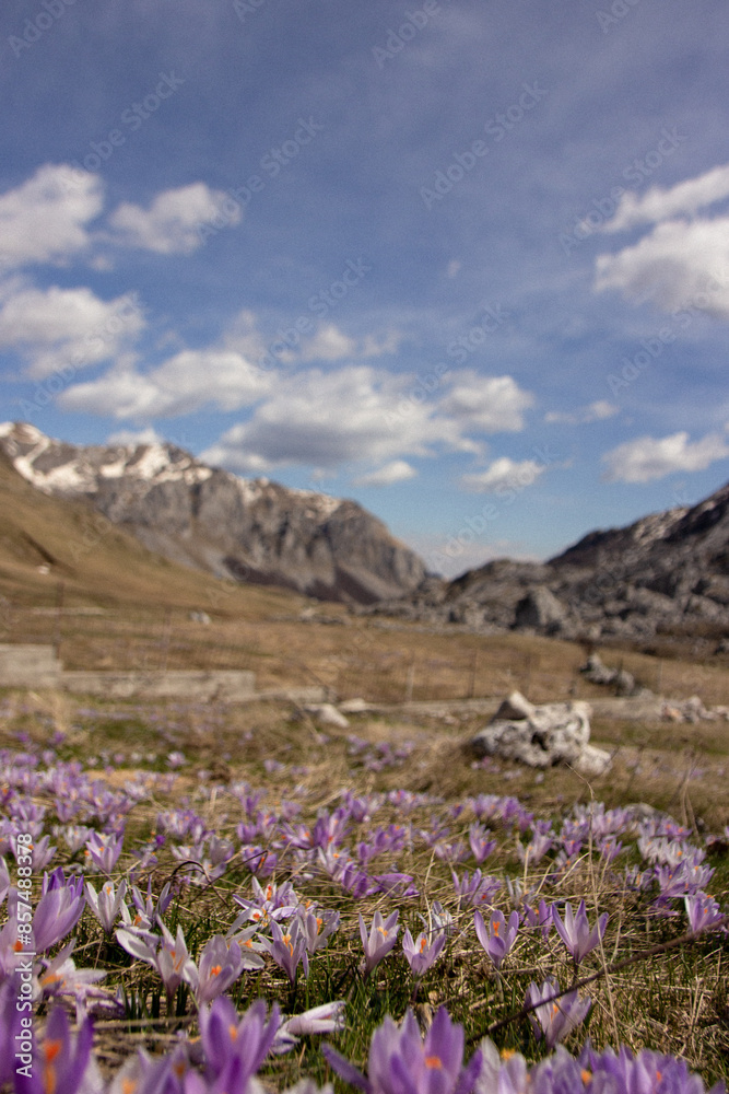 seasons in the mountains of Montenegro seasons in the mountains of Montenegro