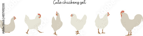 Flat chickens set illustration. Vector cliparts of domestic birds. Farming