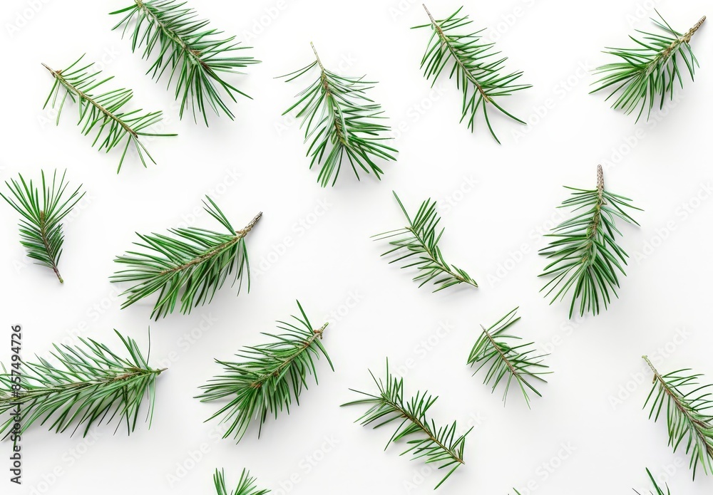 Seasonal Decor: Evergreen Pine Branches for a Festive Touch Seasonal Decor: Evergreen Pine Branches for a Festive Touch