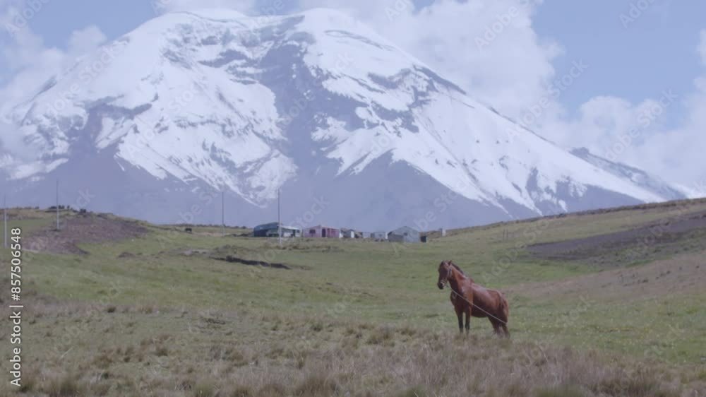 Rural area with endless grass fields and a huge snow-covered mountain in the background. Rural area with endless grass fields and a huge snow-covered mountain in the background.