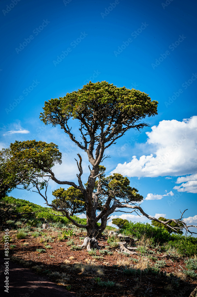 Fototapeta premium Capulin Volcano National Park Monument