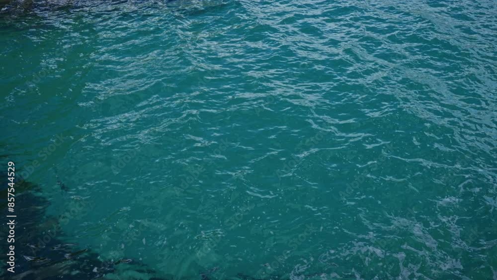 custom made wallpaper toronto digitalVibrant aquamarine sea water in salento, torre dell'orso, puglia, italy, europe with subtle waves and sunlight reflections creating a serene outdoor coastal scene.