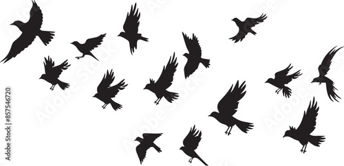 Silhouette Collection of Hummingbirds in Various Poses