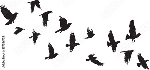 Silhouette Collection of Hummingbirds in Various Poses