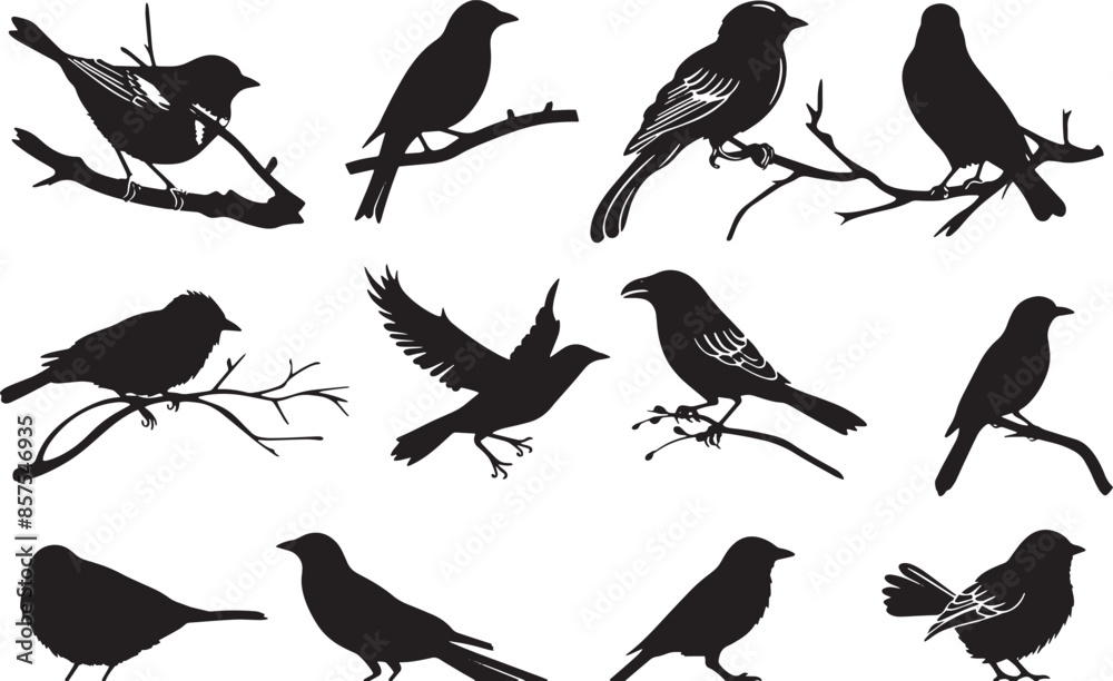 Fototapeta premium Silhouette Collection of Hummingbirds in Various Poses
