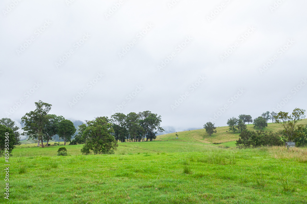 Green paddock in hills with low clouds on cold morning Green paddock in hills with low clouds on cold morning