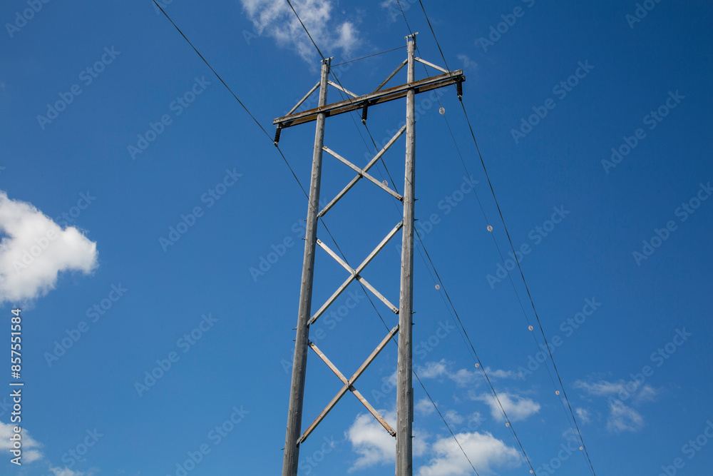 Electric Power Lines Wood Utility Poles for Electricity Industry Technology Electric Power Lines Wood Utility Poles for Electricity Industry Technology