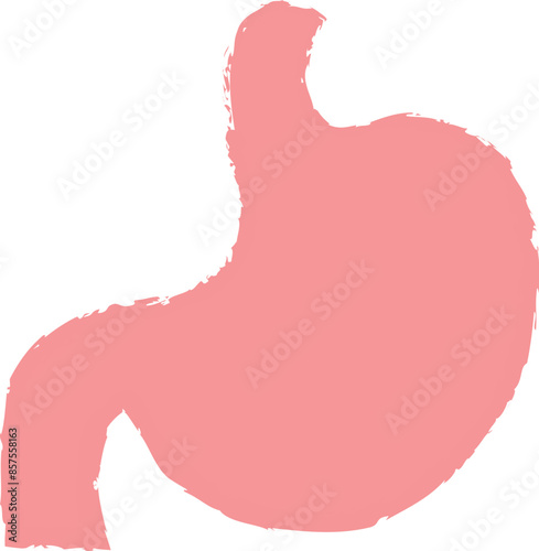 シンプルな胃のイラスト　手書き風