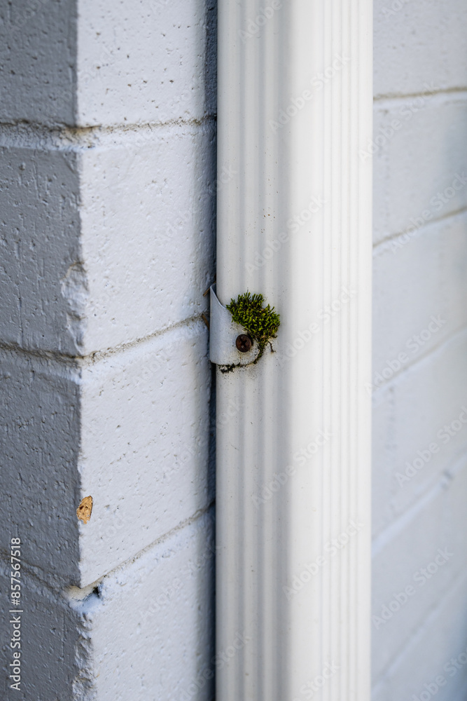 Closeup of rectangular white metal rainwater downspout and bracket with rusted screw attaching it to a brick wall
Closeup of rectangular white metal rainwater downspout and bracket with rusted screw attaching it to a brick wall