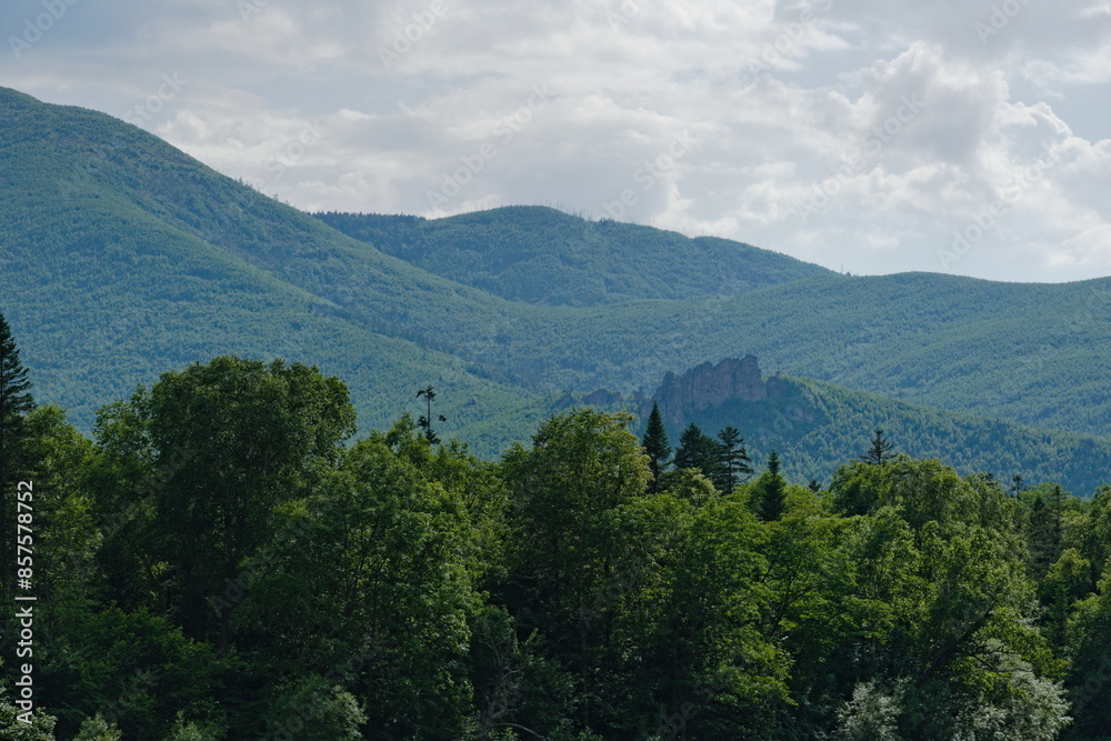 Obraz premium Mountains with mixed forest.