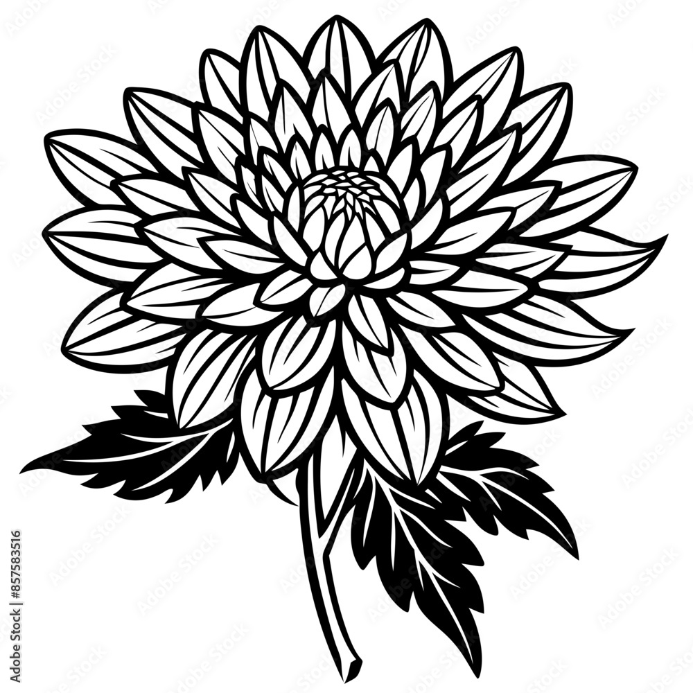 Chrysanthemum flower, generative AI Chrysanthemum flower, generative AI