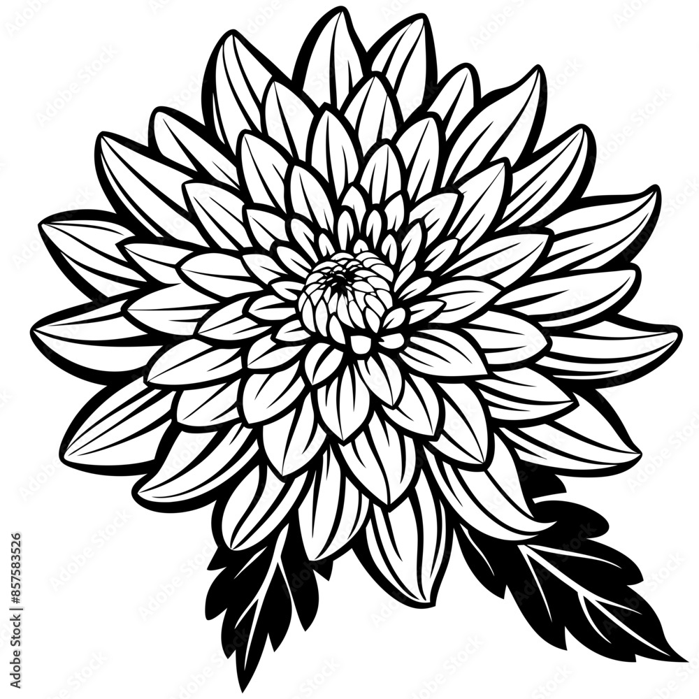 Chrysanthemum flower, generative AI Chrysanthemum flower, generative AI