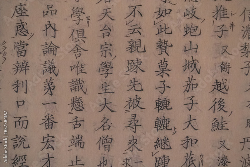 漢字が並んだ、日本の江戸時代の古文書