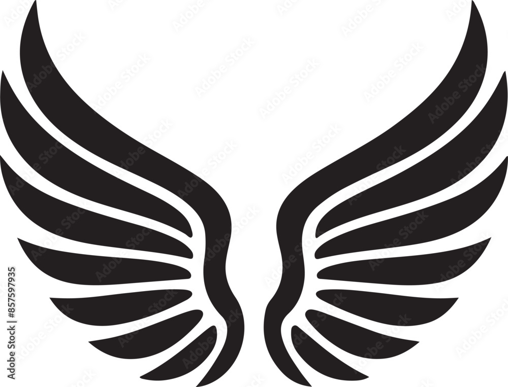 Wings of the silhouette vector image