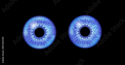 Iris poster