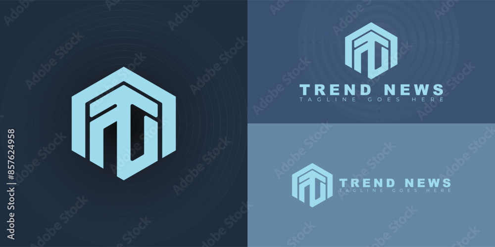 Abstract initial hexagon letters TN or NT logo in blue color isolated on multiple background colors. The logo is suitable for news network logo vector design illustration inspiration templates. Abstract initial hexagon letters TN or NT logo in blue color isolated on multiple background colors. The logo is suitable for news network logo vector design illustration inspiration templates.