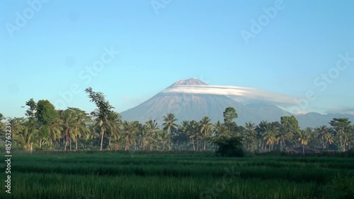 morning view of semeru mountain with a ricefield photo