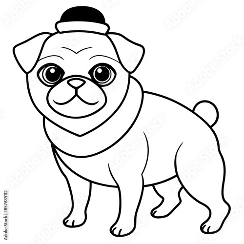 Adorable pets animal for coloring pages