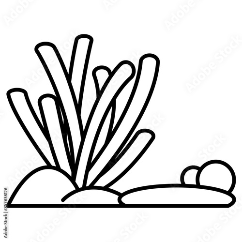 seaweed