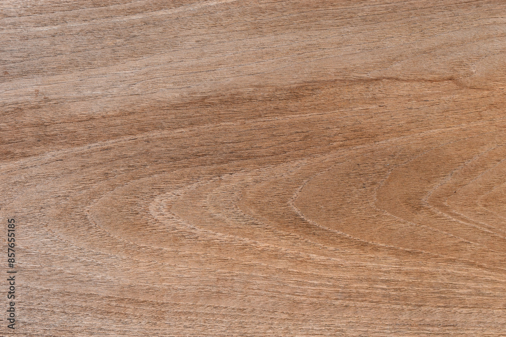Obraz premium blank brown old wood texture, dirty timber plank background