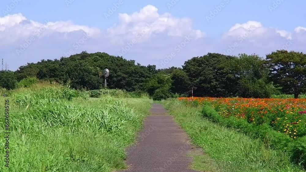 草原のなかをゆく一本道は、夏のイメージ 草原のなかをゆく一本道は、夏のイメージ