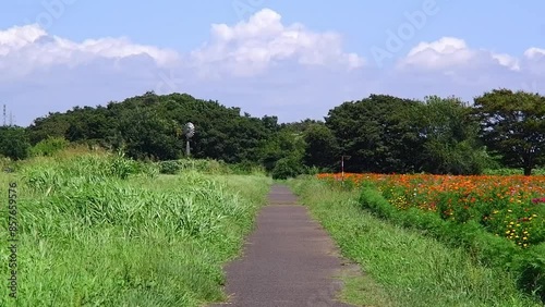 草原のなかをゆく一本道は、夏のイメージ