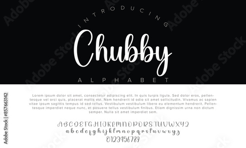 Luxury Chubby alphabet letters font for logo