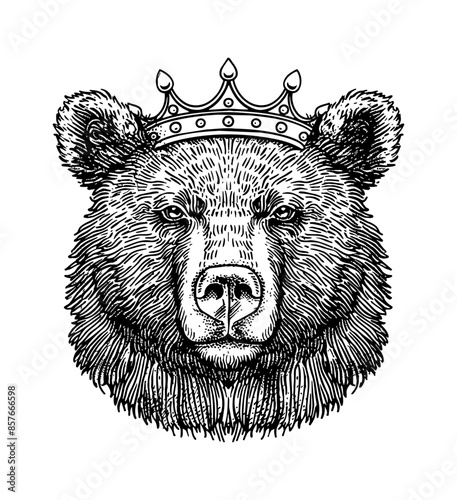 bear, wears king crown engraving black and white outline