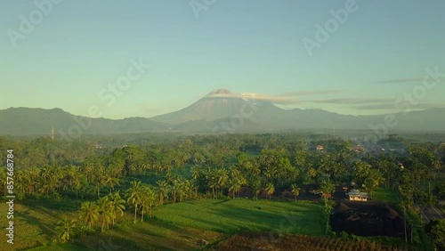 morning view of semeru mountain with a ricefield photo