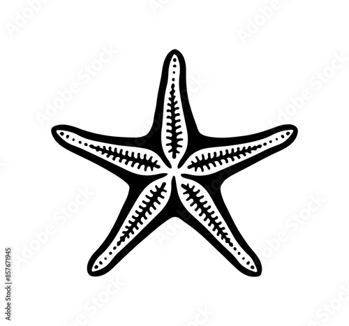 starfish engraving black and white outline, Starfish silhouette vector illustration