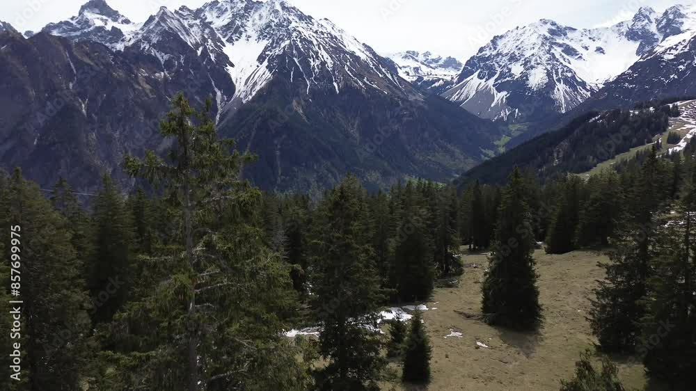 Drone fly above Pine forest With Snow Covered Mountains in Background. Winter landscape in the mountains. Europe, Austria Drone fly above Pine forest With Snow Covered Mountains in Background. Winter landscape in the mountains. Europe, Austria